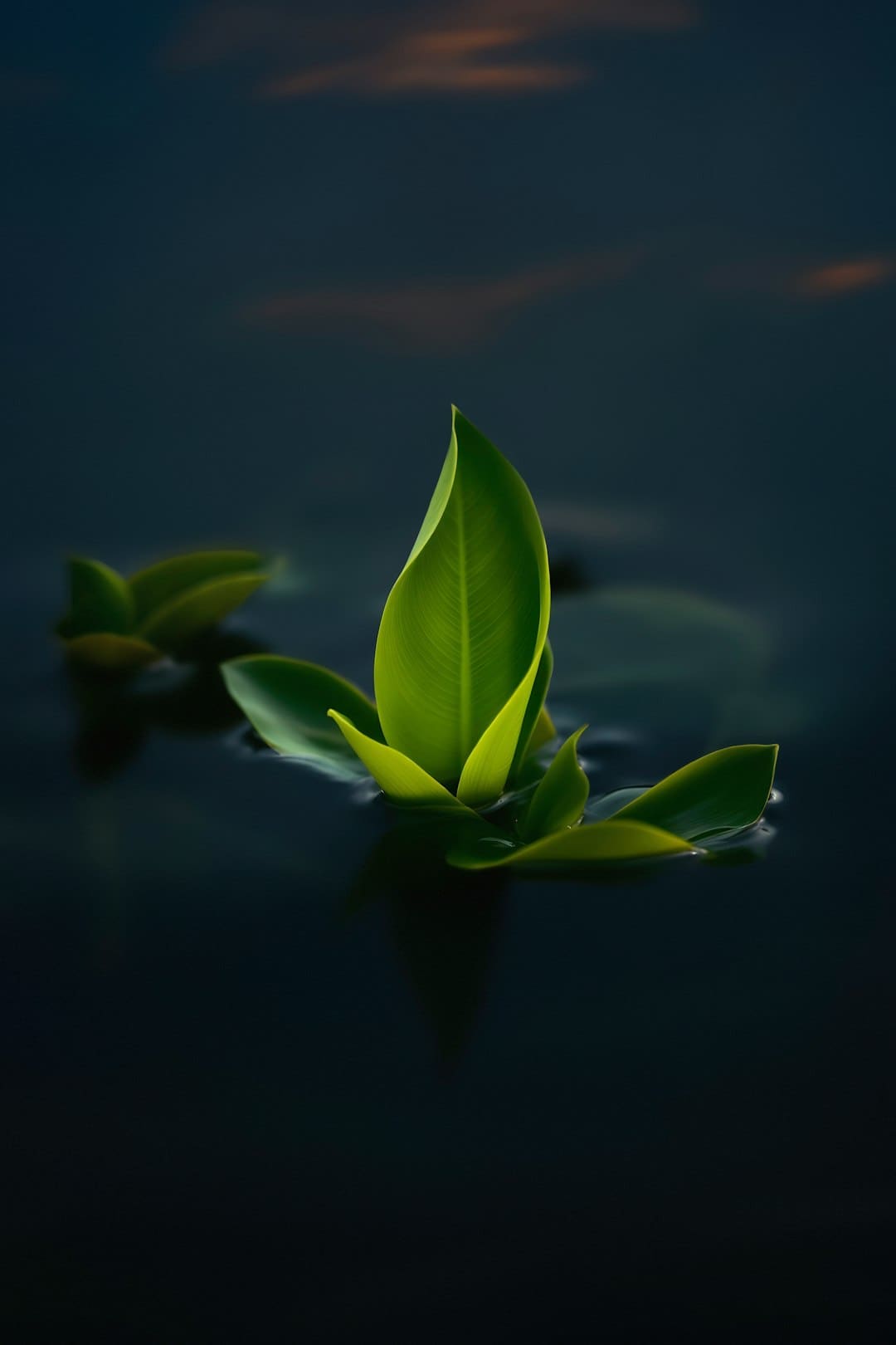 http://n.sinaimg.cn/news/transform/w600h400/20180309/0U-V-fxpwyhw3324520.png